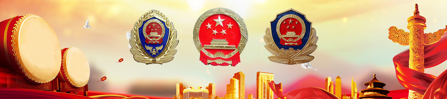 公司简介