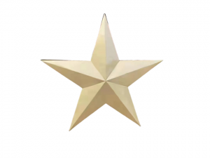金色五角星