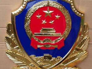 大型贴金警徽
