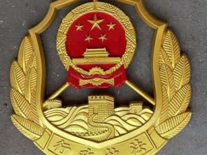 大型行政执法徽